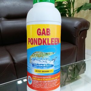 gab-pondkleen