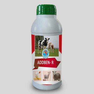 addben-r-2