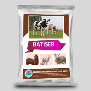 batiser