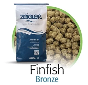 finfish-bronze