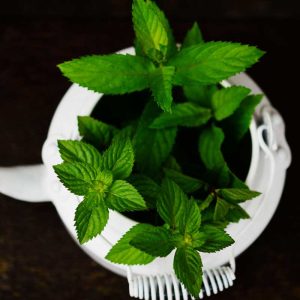 herbal-1