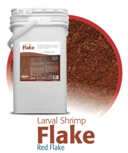 larval-shrimp-flake-red