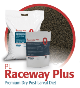 pl-raceway-plus