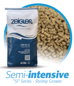 semi-intensive