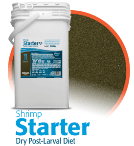 shrimp-starter