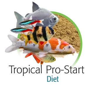 tropical-pro-start