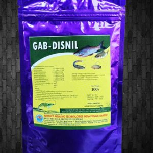 gab-disnil