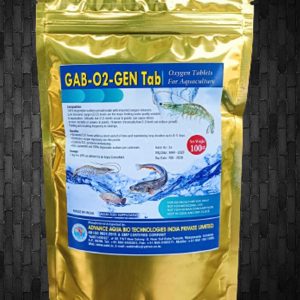 gab-02-gen-tab