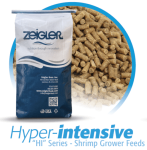 hyper-intensive